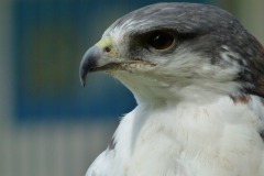 P1020350