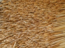 Strukturen / Details