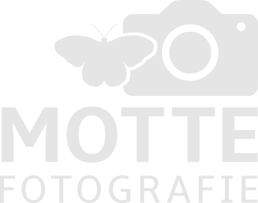 Motte Fotografie